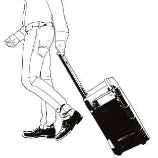 carrying case 